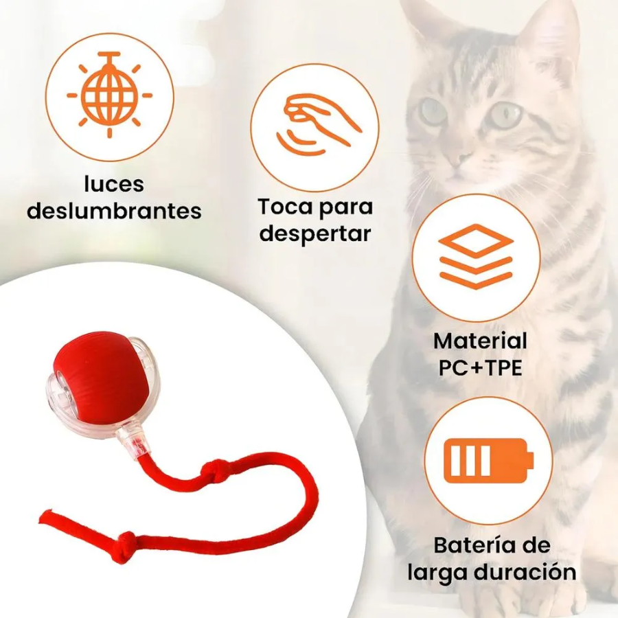 Pelota Interactiva con Cola para Mascotas 😻 Quema sus energías y hazlo feliz🐶