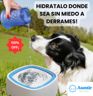 BEBEDERO PARA MASCOTA ANTIDERRAMES 🐱🐶
