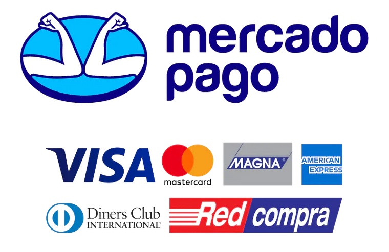 Cargador Inteligente para Baterías 12V/24V