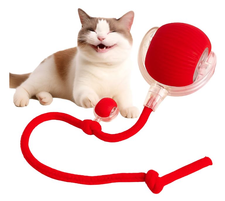 Pelota Interactiva con Cola para Mascotas 😻 Quema sus energías y hazlo feliz🐶