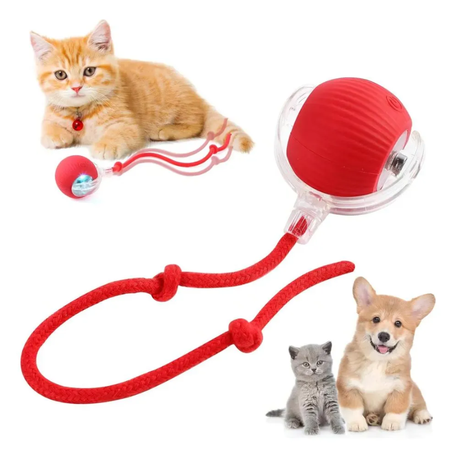 Pelota Interactiva con Cola para Mascotas 😻 Quema sus energías y hazlo feliz🐶