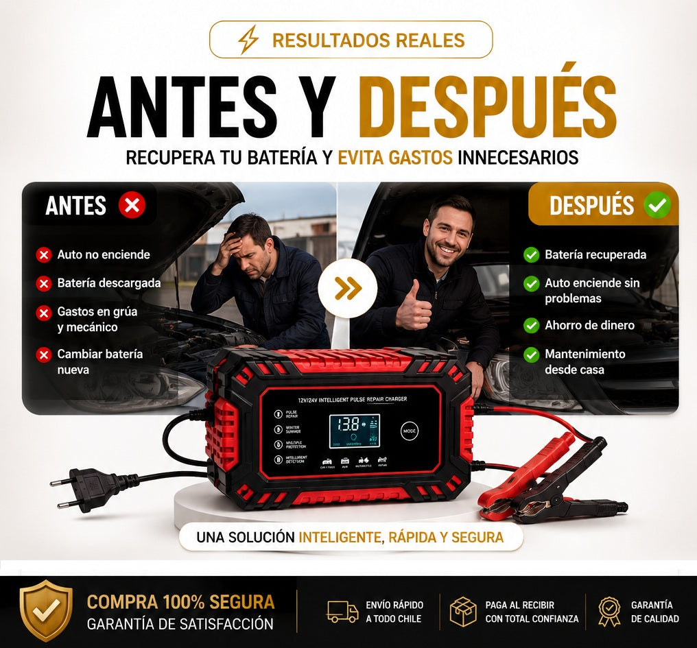 Cargador Inteligente para Baterías 12V/24V