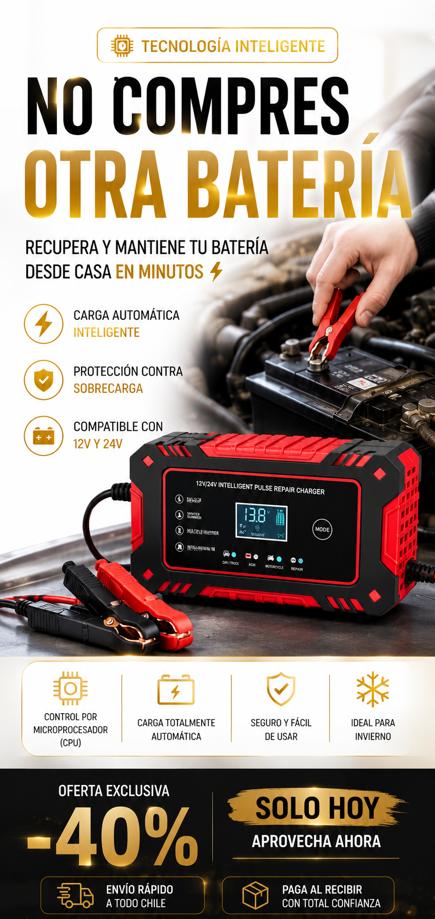 Cargador Inteligente para Baterías 12V/24V
