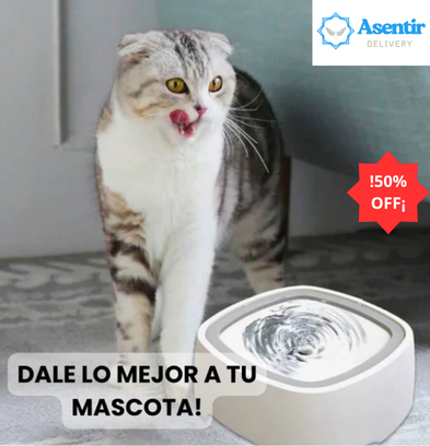 BEBEDERO PARA MASCOTA ANTIDERRAMES 🐱🐶