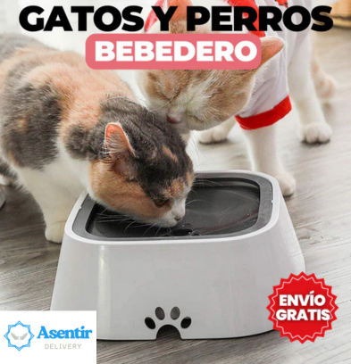 BEBEDERO PARA MASCOTA ANTIDERRAMES 🐱🐶